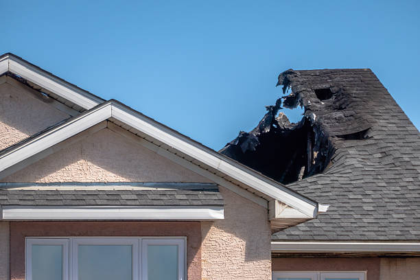Top rated local Board Up Services specialists in Chandler, TX